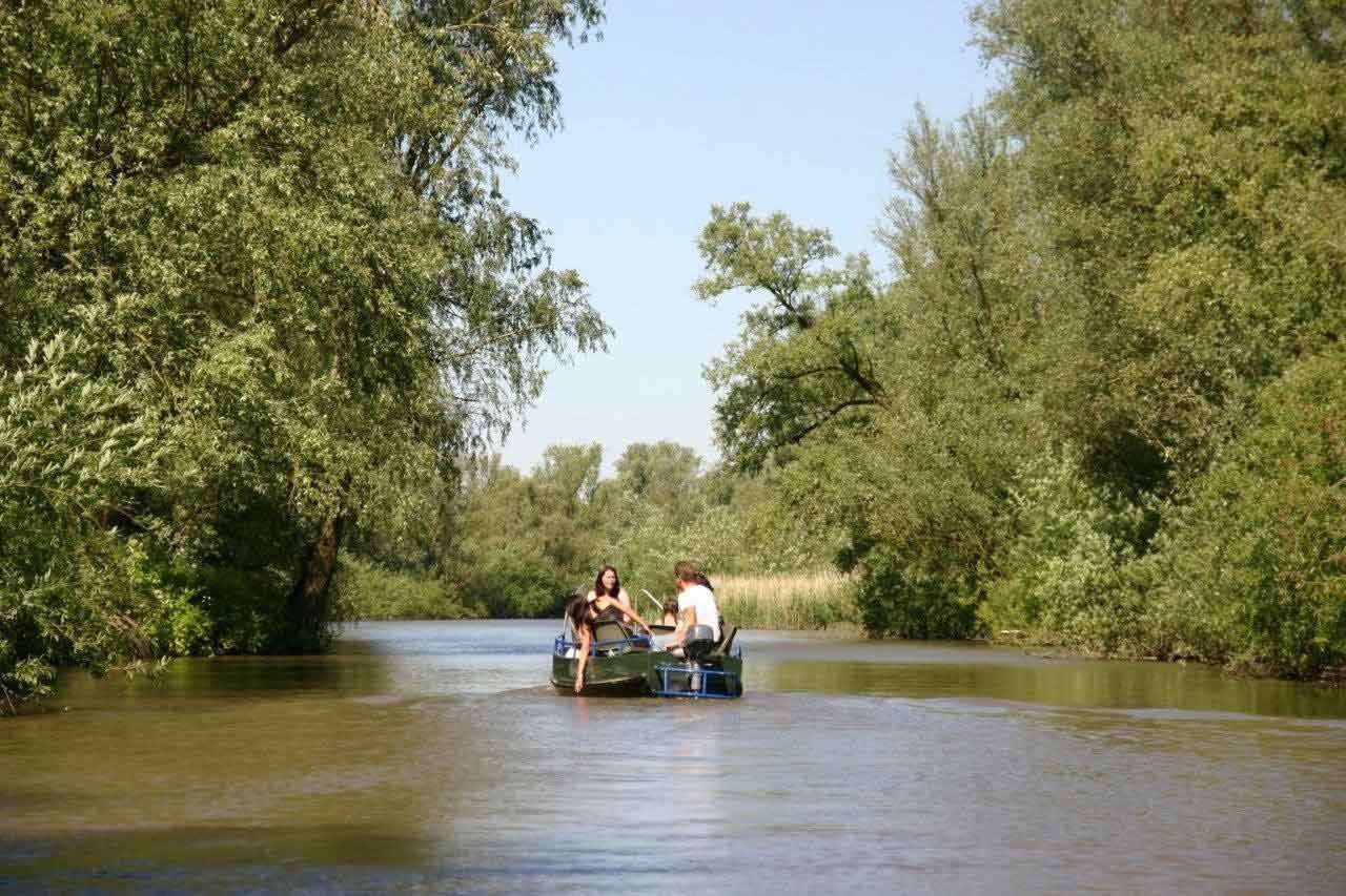 National Park De Biesbosch
