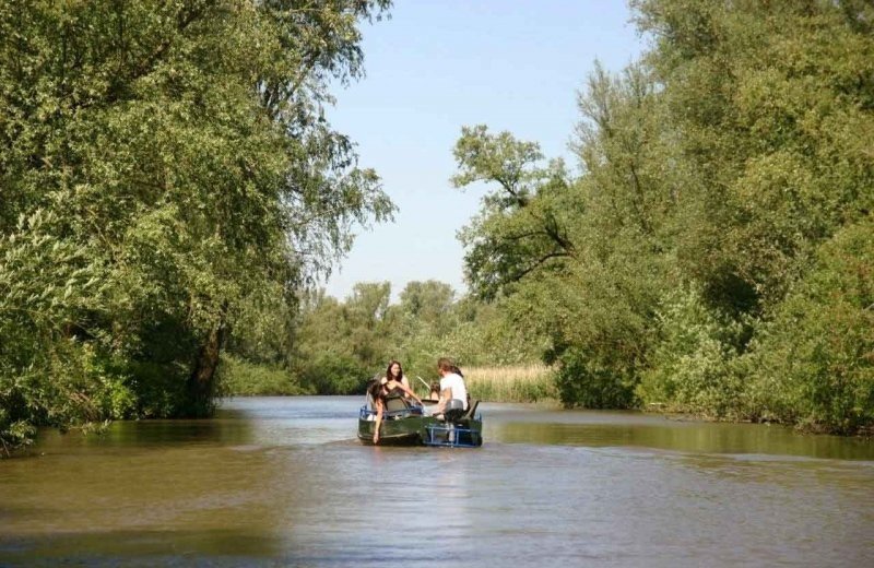 Varen door de biesbosch