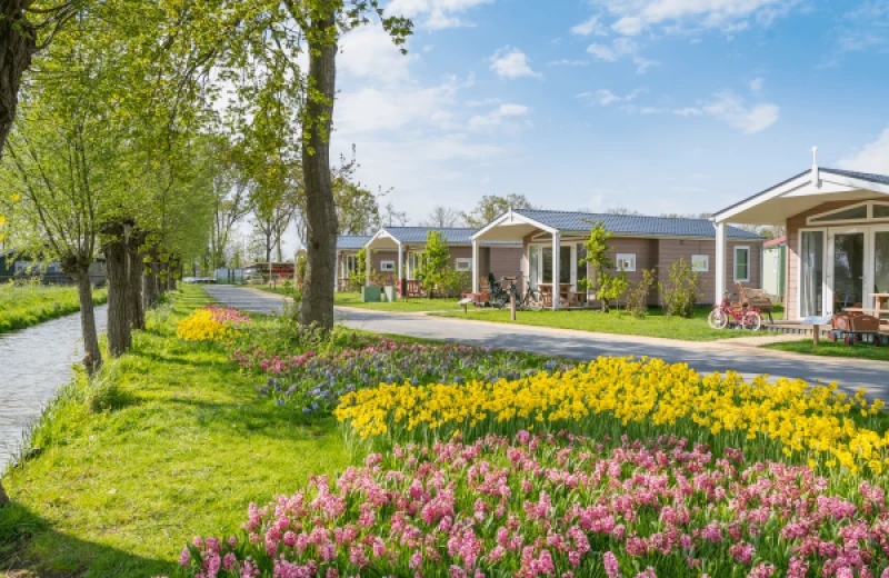 Spring at Family Resort Molenwaard