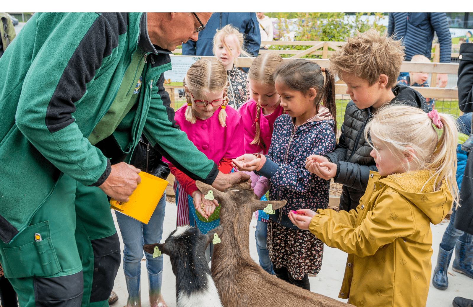 Dieren verzorgen avb