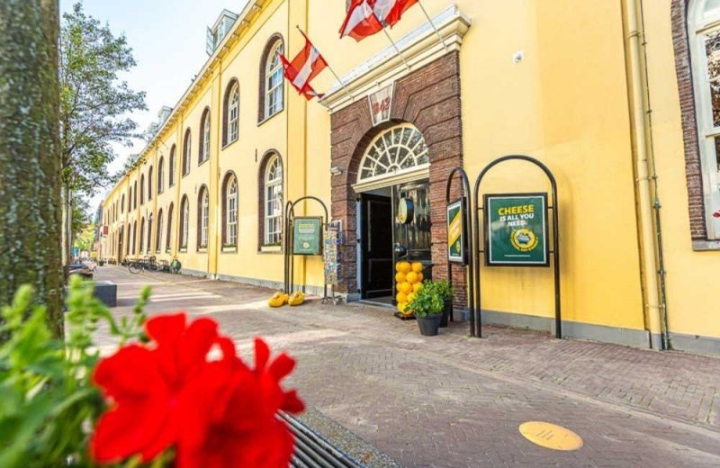 Gouda cheese expierence