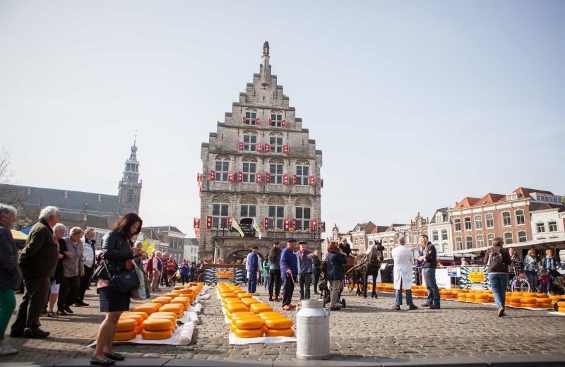 Kaasmarkt in gouda