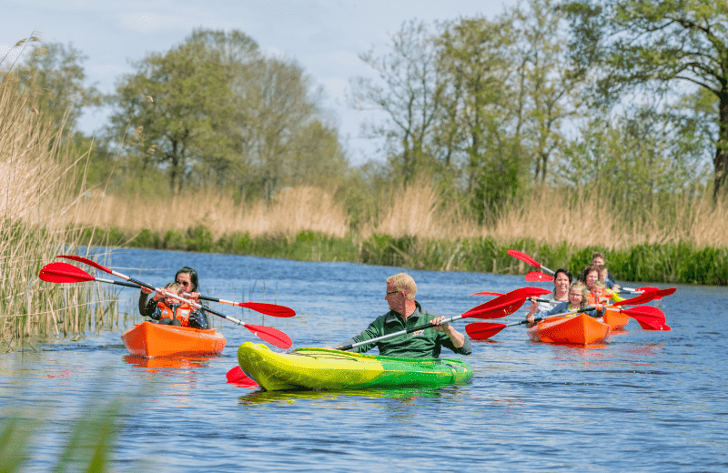 Canoeing excursion for children from 8 years