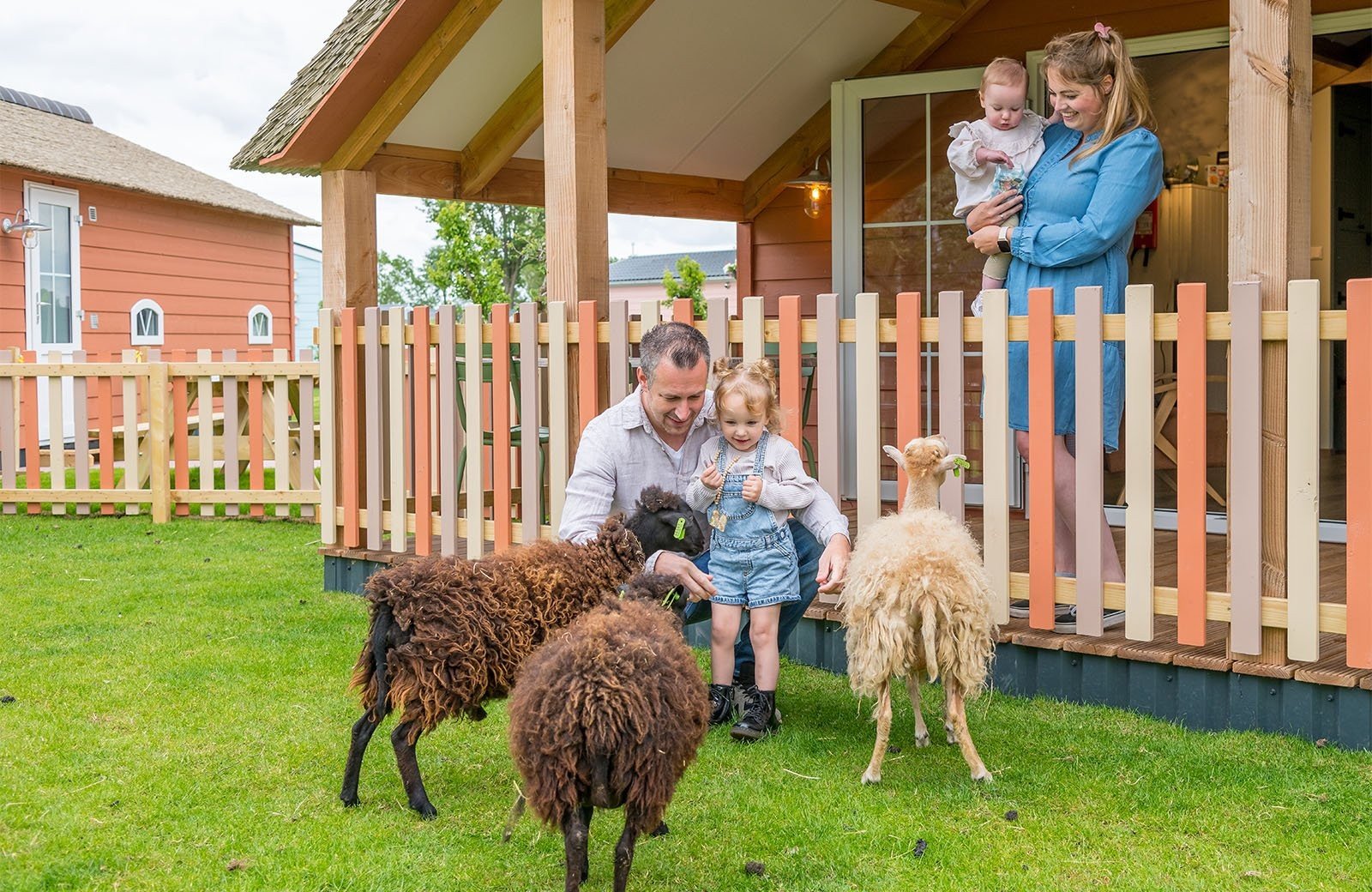 Mike & Molly Schaapskooitje (6 persons)