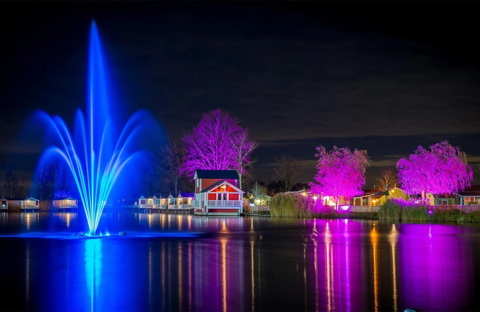 Natuurplas molenwaard lichtfestival
