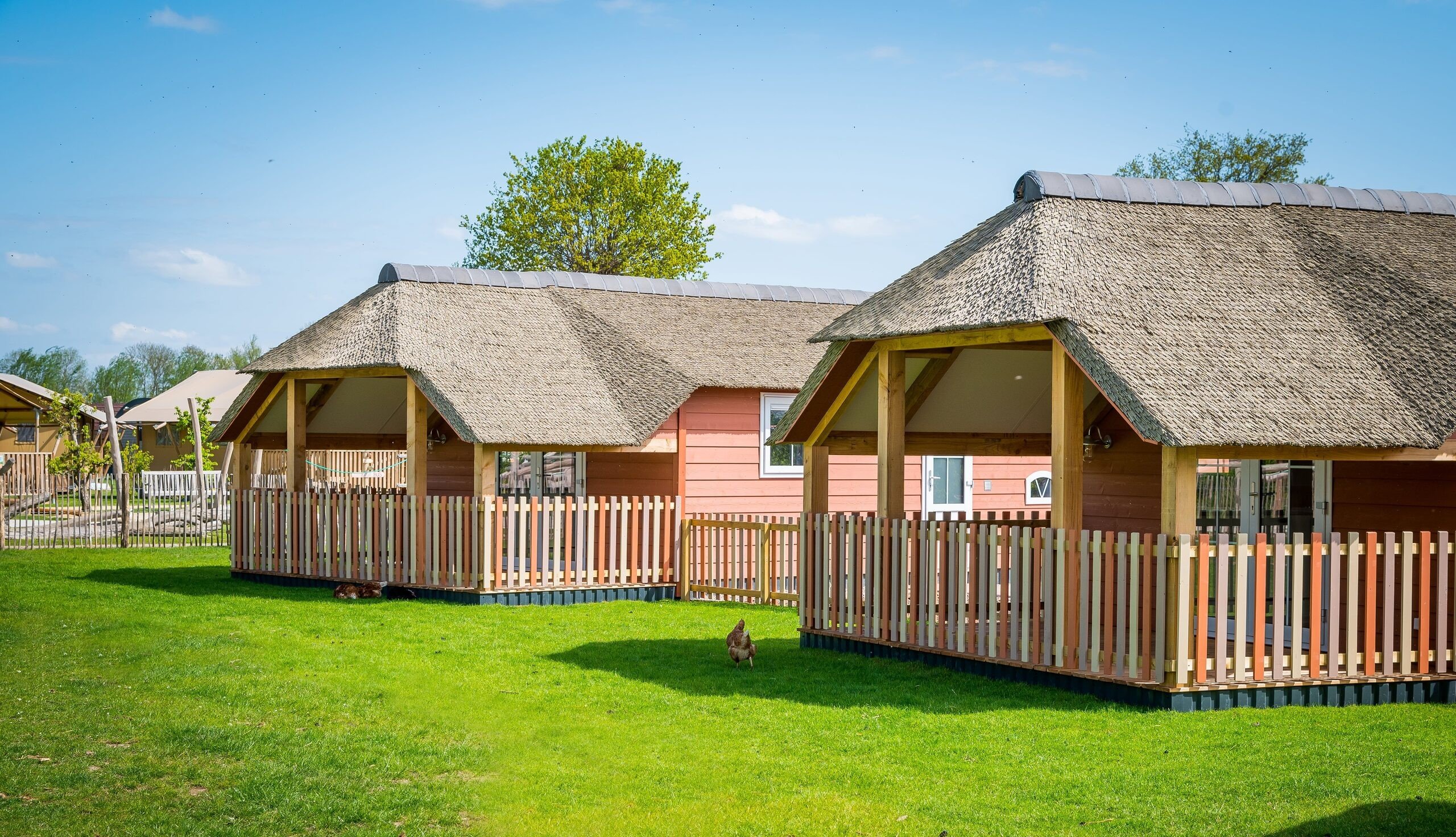 Mike & Molly Schaapskooitjes