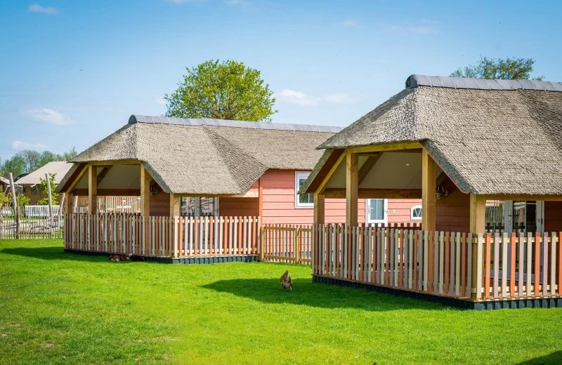 Mike & Molly Schaapskooitjes