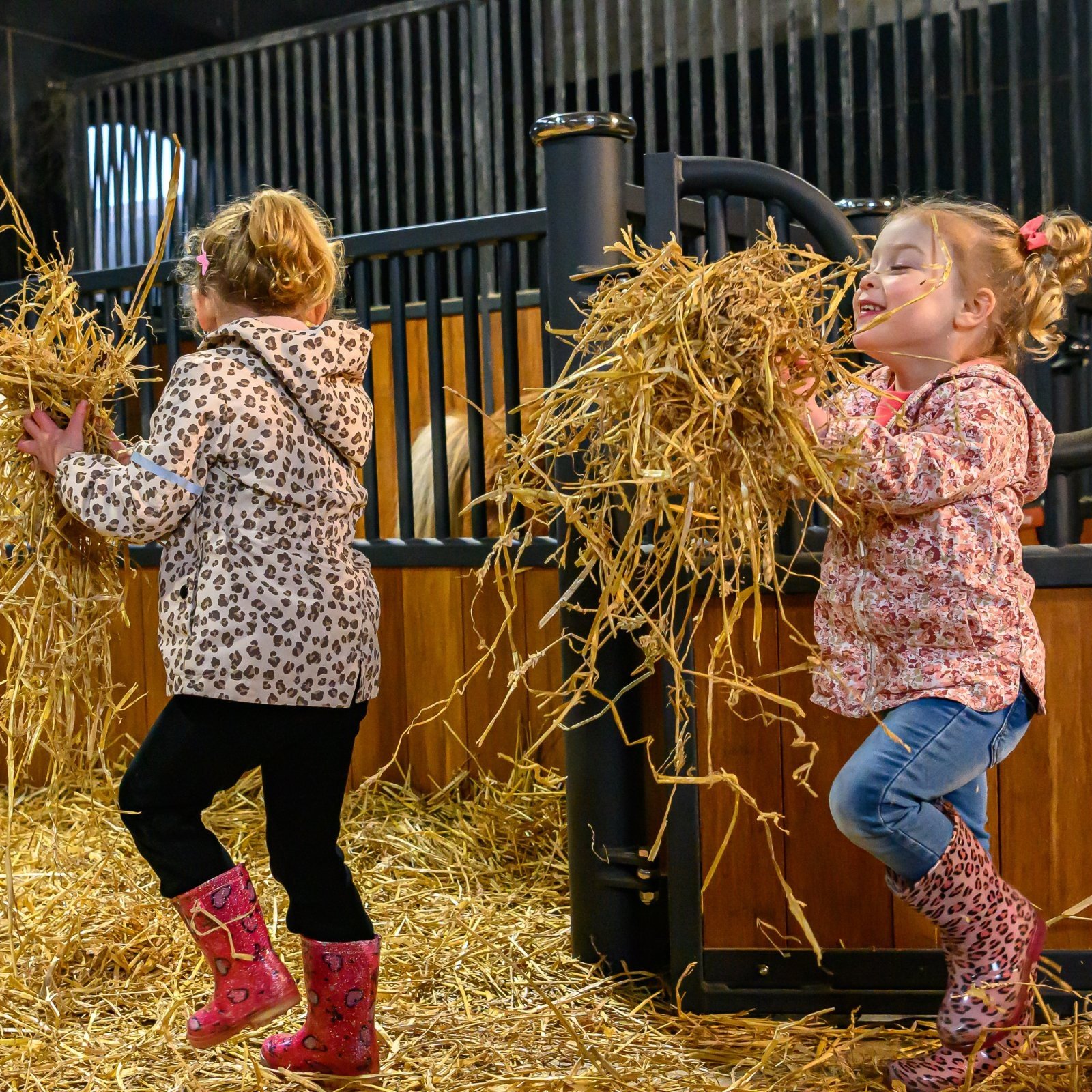 Stip de pony ranch kinderfeestje