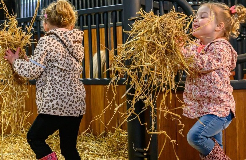 Stip de pony ranch kinderfeestje