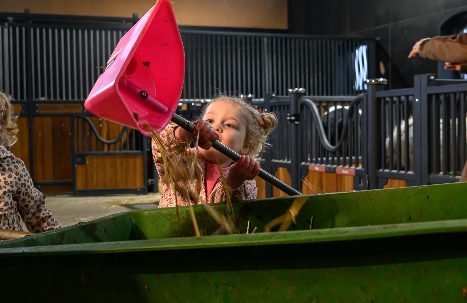 Helping in the pony stable