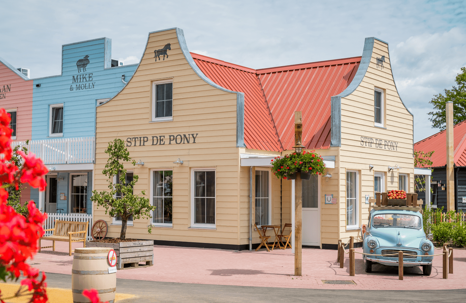 Stip de Pony Studio