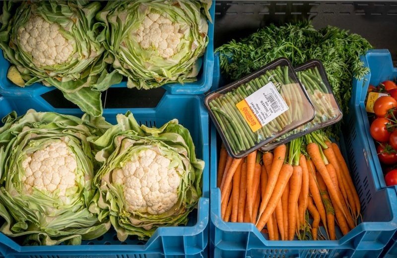 Verse groenten familie resort molenwaard